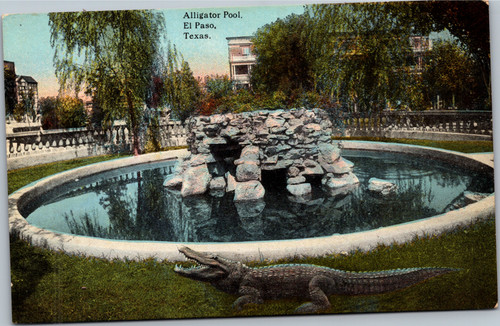 El Paso - Aligator Pool