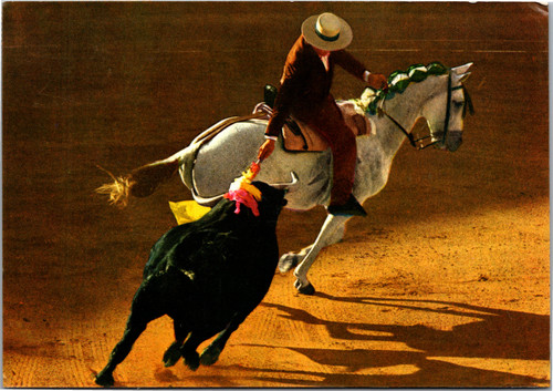 Corrida de Toros Rejoneador - Spanish Bullfighter on Horseback