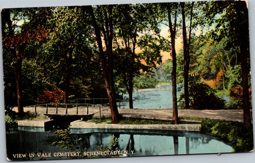 Postcard NY Schenectady View in Vale Cemetery