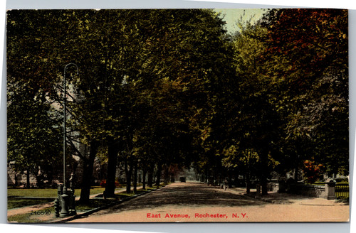 Postcard NY Rochester East Avenue