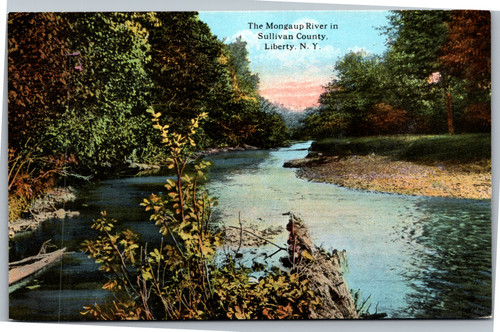 Postcard NY Liberty Sullivan County Mongaup River