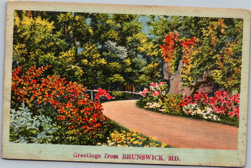 Postcard MD Brunswick Greetings NYCE Colored Landscape