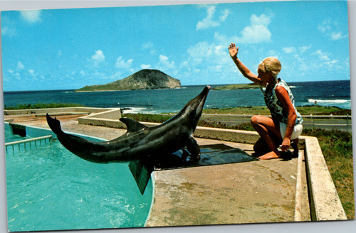 Hawaii Sea Life Park Woman Training Porpoise