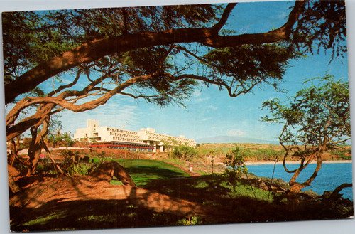 Postcard Hawaii Mauna Kea Beach Hotel view from under tree mountain in distance