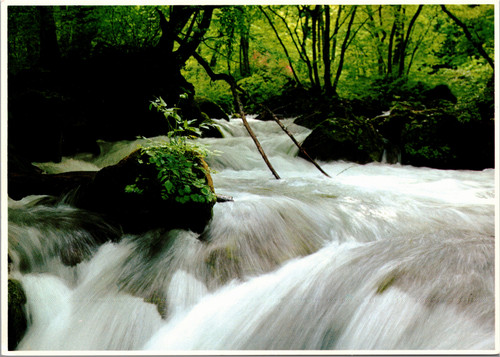 postcard early summer river japan daisuke hirota