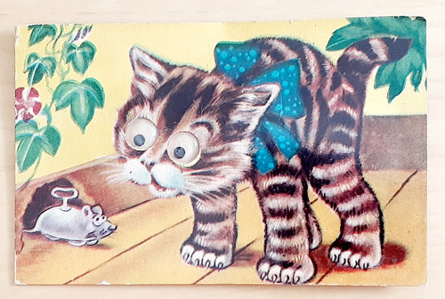 squeaker postcard cats