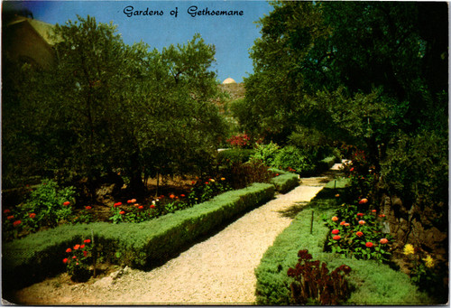 Jerusalem Old City Gardens of Gethsemane