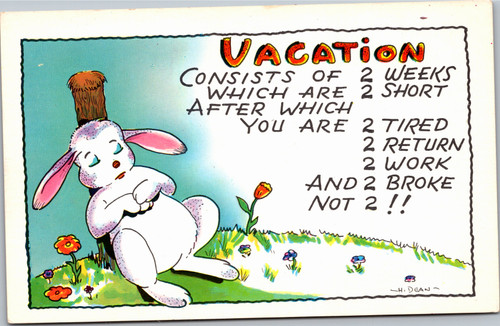 Bunny Sleeping Vacation Consists of