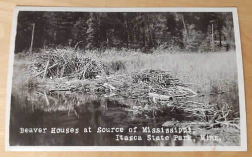 RPPC MN Itasca State Park Beaver Hourses at Source of Mississippi