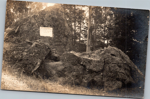 RPPC Founder's Rock College of California Azo