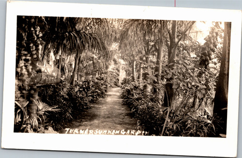 RPPC FL St. Petersburg Turner Sunken Garden