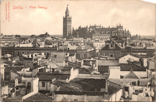 Cathedral La Giralda Rooftop View