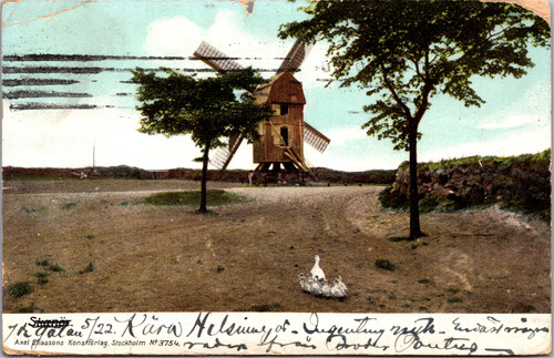 Skansen Windmill with Geese View