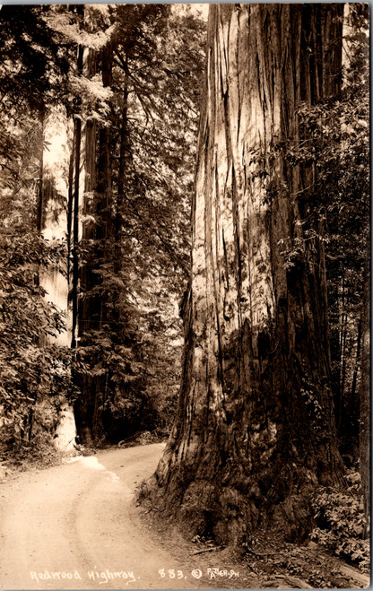 Redwood Highway RPPC SSSS Patterson