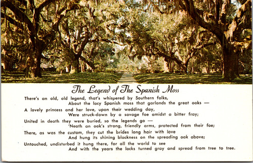 Legend of the Spanish Moss  (41-973)