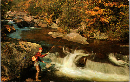 The Old Fishing Spot   (41-986)