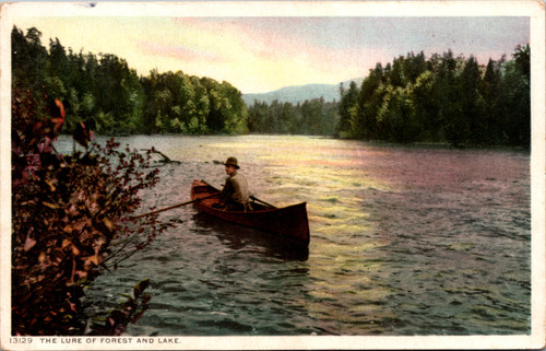 The Lure of Forest and Lake