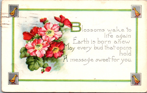 Blossoms wake to life again Blossoms wake to life again