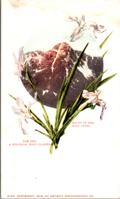 Iris with Mount of the Holy Cross