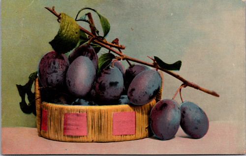 Basket of plums Aristophot