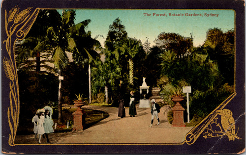 Botanic Gardens - The Forest -  Sydney Australia