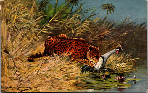 Leopard Hunting Waterfowl signed M. Mueller