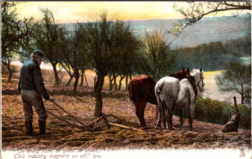 Tuck 1417 Animal Life - horses plowing field Tuck 1417 Animal Life - horses plowing field