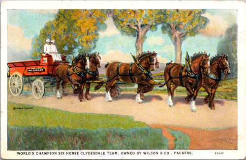 World's Champion Six-Horse Clydesdale Team owned by Wilson and Co Packers