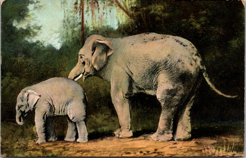 Elephant and Baby Elephant and Baby