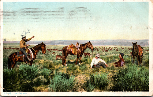 Day Herds Cowboy & Horses Cattle Roundup