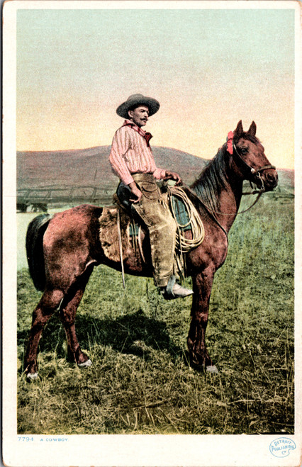 A Cowboy