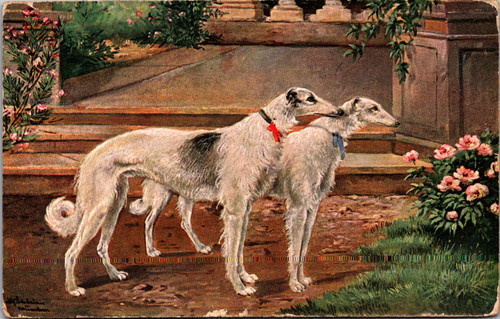 Pair of Borzoi Russian Wolfhounds  German American Novelty Art Series 837