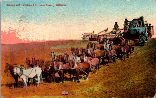 Reaping and Threshing 30 horse Team