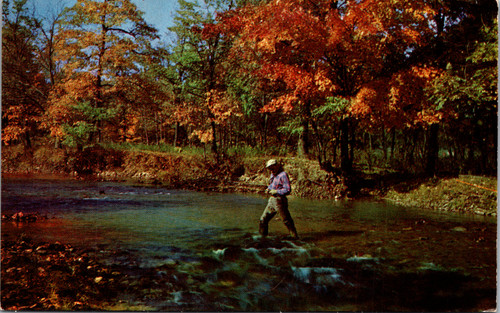 Man fishing in stream on autumn day