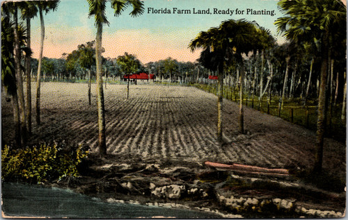 Florida Farm Land Ready for Planting