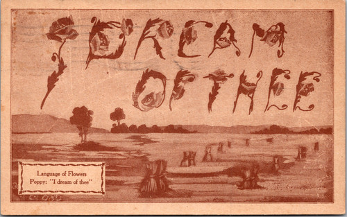 I Dream of Thee Language of Flowers Poppy