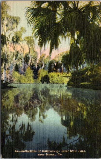 Reflections at Hillsborough River State Park