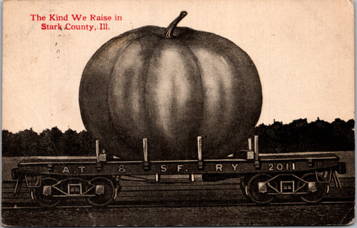 The Kind We Raise in Stark County - exagerated giant pumpkin ATSF RY