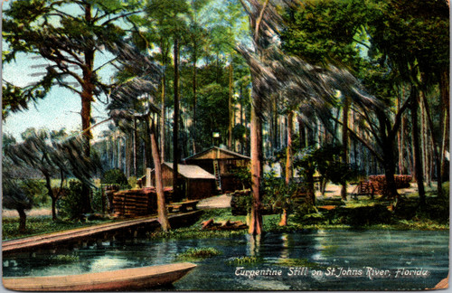 Turpentine Still on St Johns River
