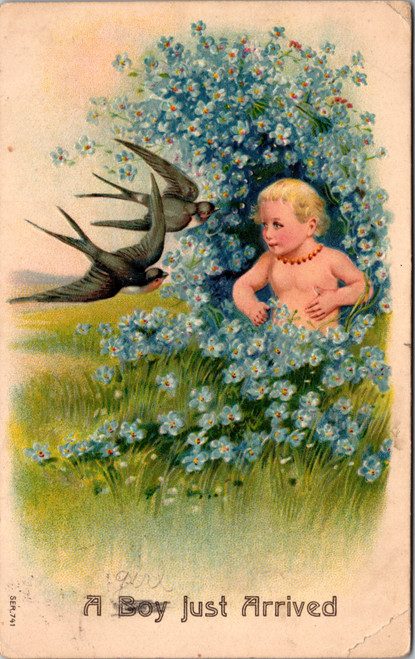 A Boy Just Arrived - blond baby in forget me nots with birds A Boy Just Arrived - blond baby in forget me nots with birds