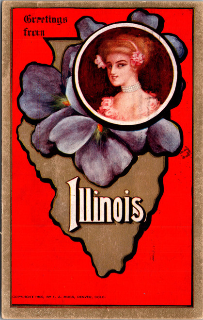 Greetings from Illinois state outline violets pretty woman