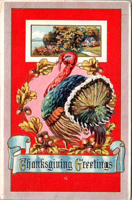 Thanksgiving Greetings - turkey acorn wreath red background Thanksgiving Greetings - turkey acorn wreath red background