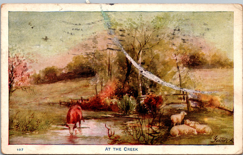 At the Creek - cow drinking from creek sheep lying on bank