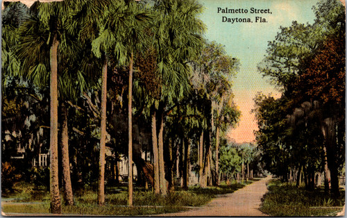 Palmetto Street Daytona Fla