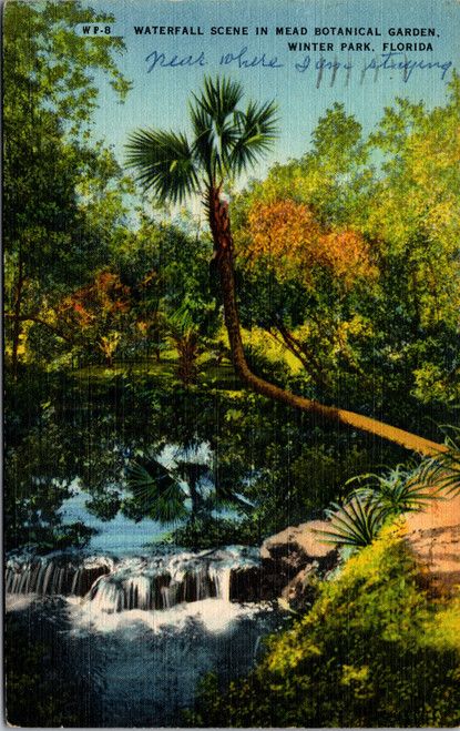 Waterfall Scene in Mead Botanical Park