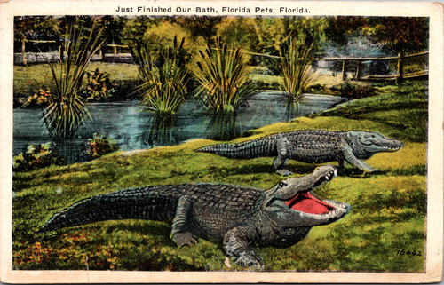 Just Finished our Bath - Florida Pets