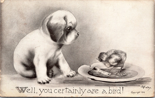Well you certinaly are a bird!