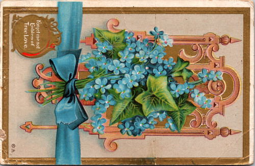 Forget me not Emblem of True Love Forget me not Emblem of True Love