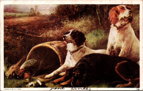 Three Spaniel hunting dogs with fowl Three Spaniel hunting dogs with fowl