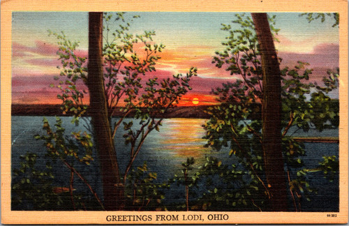 Greetings from Lodi, Ohio - sunset over lake through trees